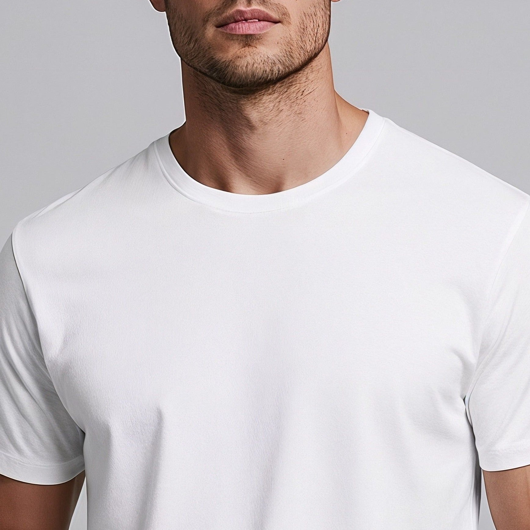 Camiseta Masculina Basic - Ibitiraquire